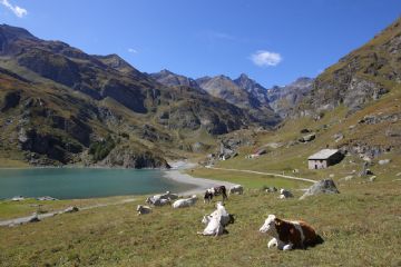 Lago di Malciaussia, foto di Enzo Isaia