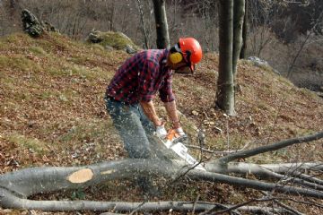 Bando GAL Valorizzare la filiera legno locale
